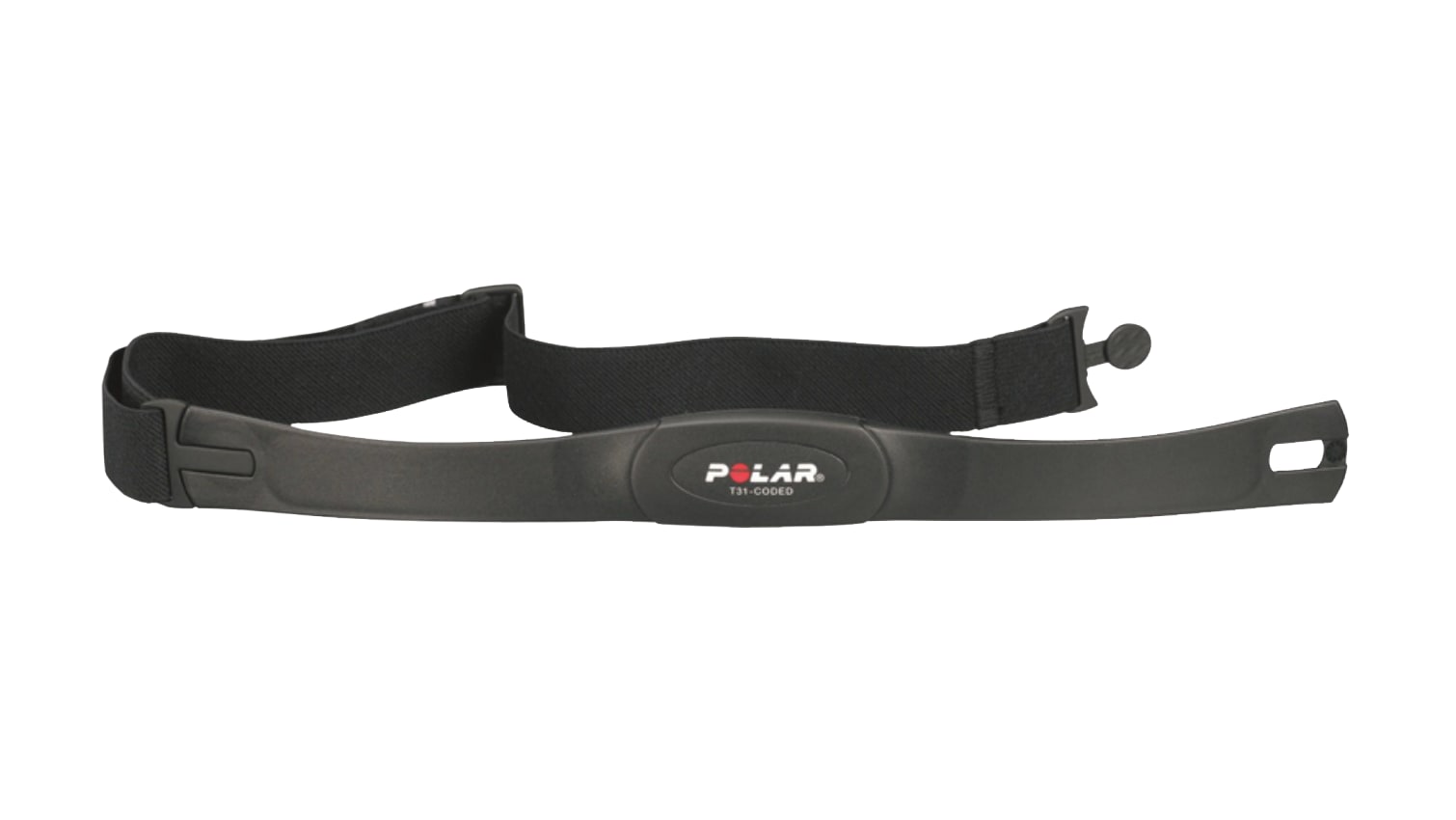 Rogue echo bike discount heart rate monitor